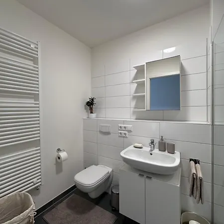 Einzimmer * 普福尔茨海姆